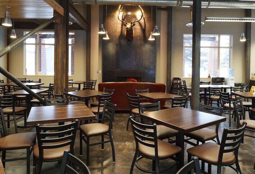 فندق 49'er Inn & Suites