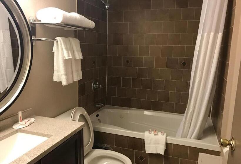 Отель Quality Inn