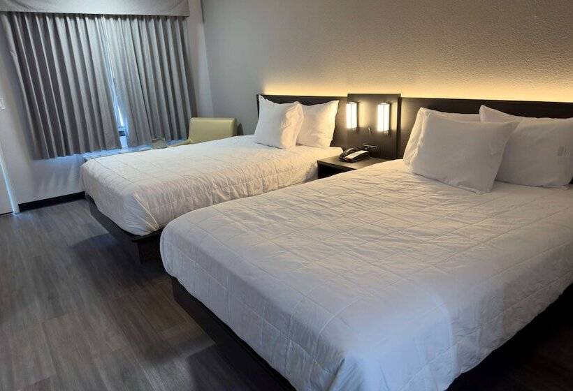 فندق Baymont By Wyndham Rock Hill