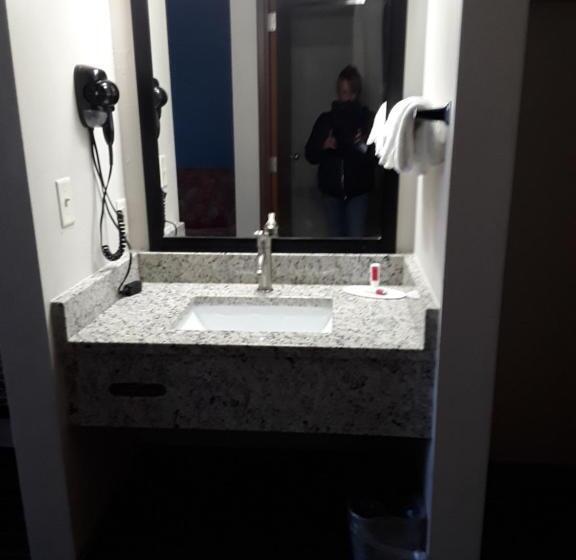 酒店 Baymont Inn & Suites Richmond