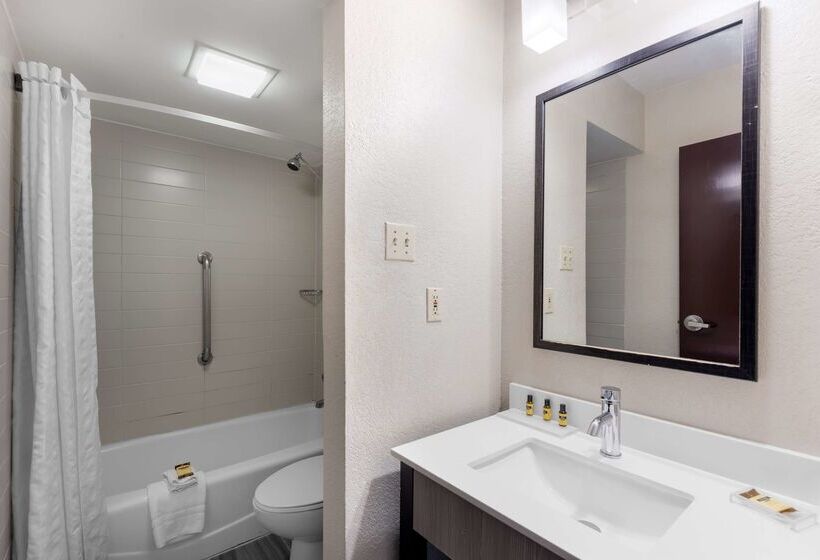 Отель Best Western Plus Austin Central