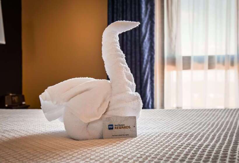 فندق Best Western Potomac Mills