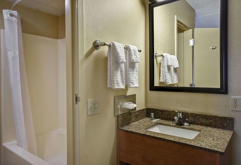 Отель Best Western Rochester Marketplace Inn