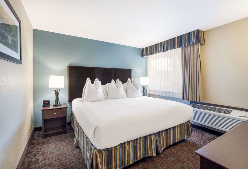 Отель Best Western Windsor Inn