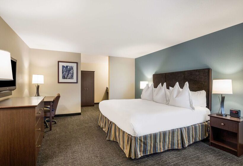 Отель Best Western Windsor Inn