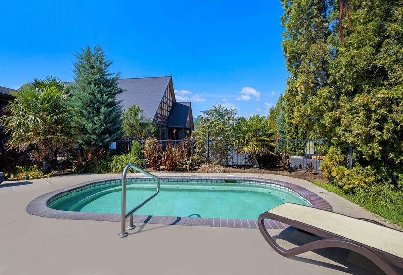 Отель Best Western Windsor Inn