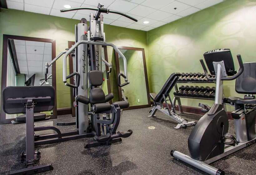 هتل Holiday Inn Nashville Downtown   Stadium, An Ihg