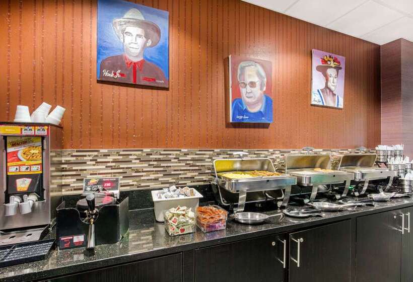 هتل Holiday Inn Nashville Downtown   Stadium, An Ihg