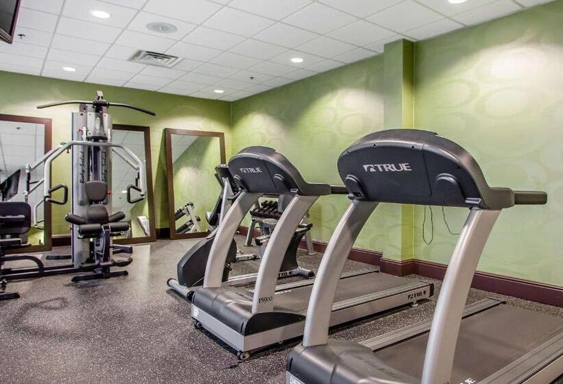 هتل Holiday Inn Nashville Downtown   Stadium, An Ihg