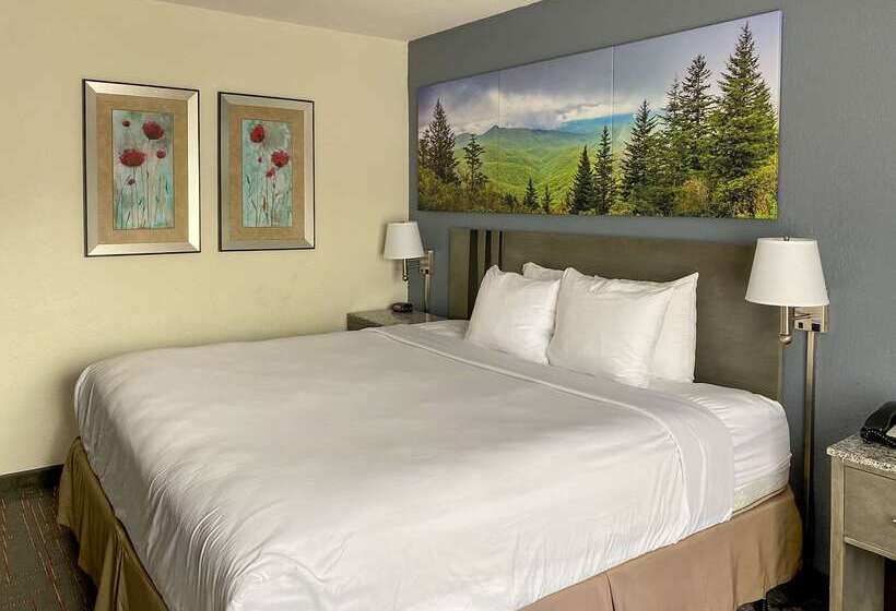 酒店 Clarion Pointe Greensboro Coliseum Area