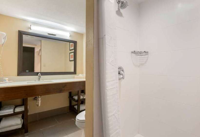 فندق Comfort Inn & Suites North At The Pyramids