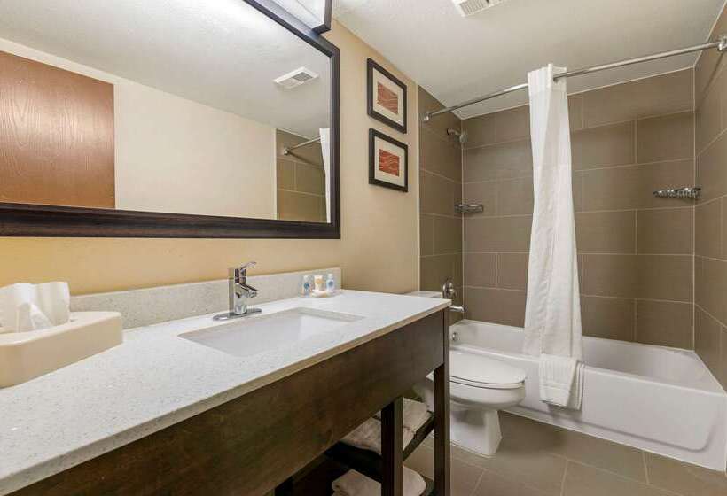 فندق Comfort Inn & Suites North At The Pyramids