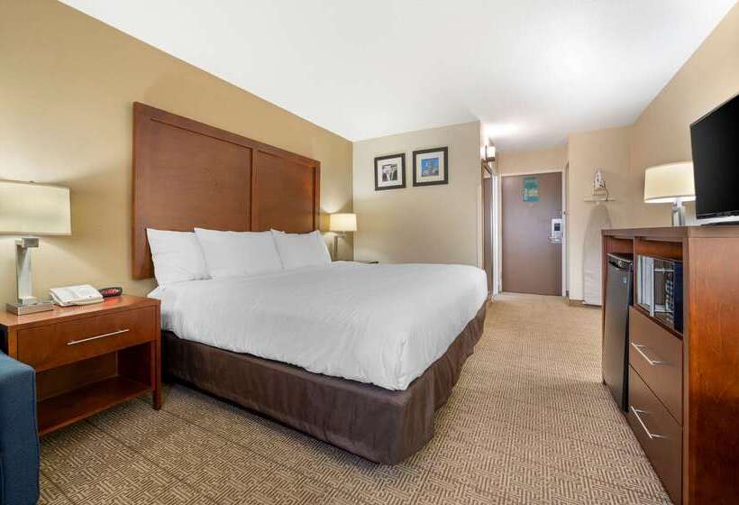 فندق Comfort Inn & Suites North At The Pyramids