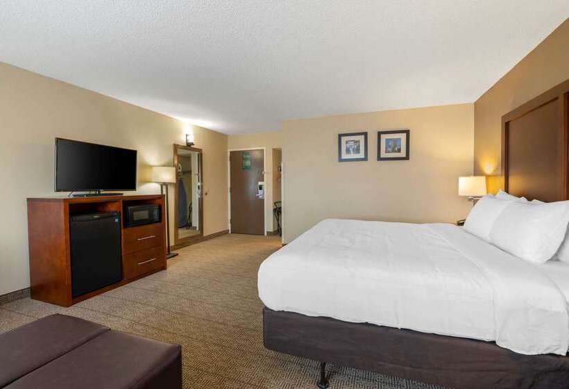 فندق Comfort Inn & Suites North At The Pyramids