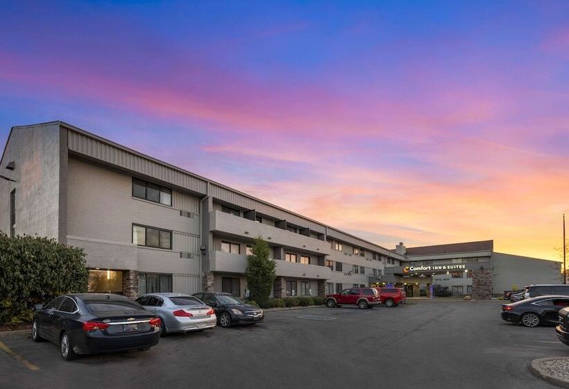 فندق Comfort Inn & Suites North At The Pyramids