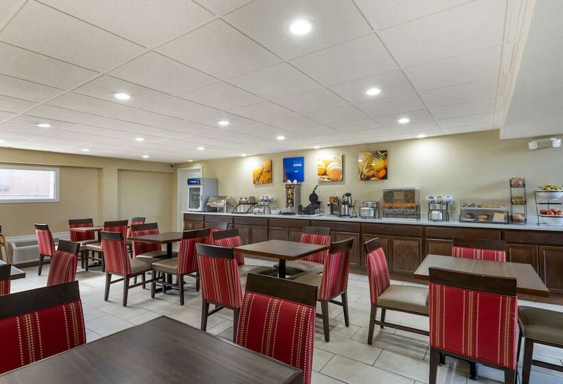 فندق Comfort Inn & Suites North At The Pyramids