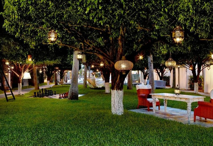 فندق Delano South Beach Miami