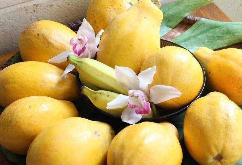 Отель Dolphin Bay