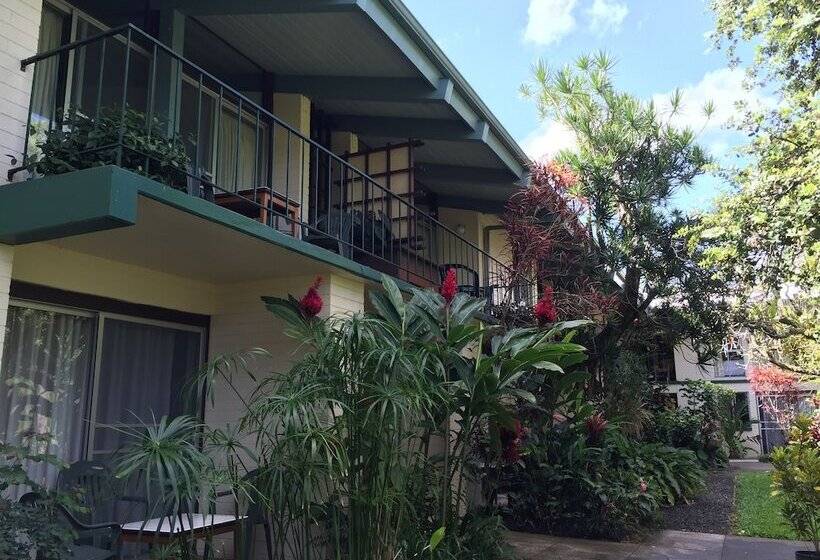 Отель Dolphin Bay