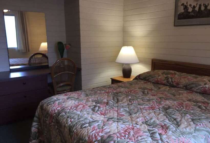 Отель Dolphin Bay