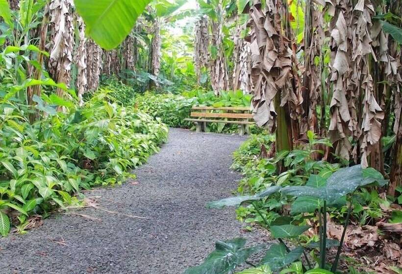 Отель Dolphin Bay