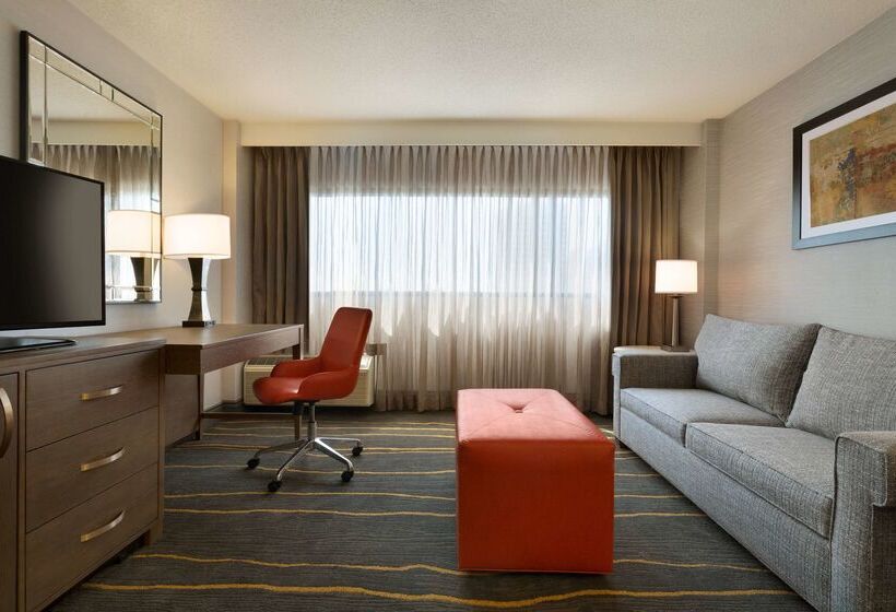 Doubletree By Hilton Hotel Albuquerque