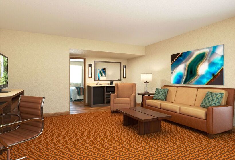 هتل Doubletree Suites By Hilton Tucson   Williams Center