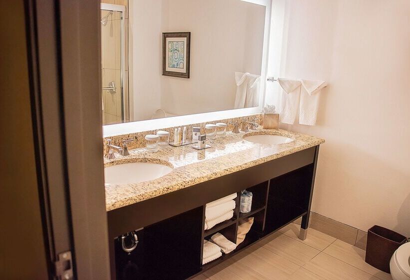 Doubletree Suites By Hilton Hotel Mcallen