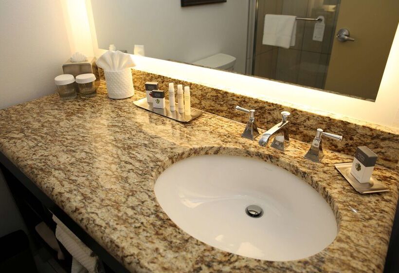 Doubletree Suites By Hilton Hotel Mcallen