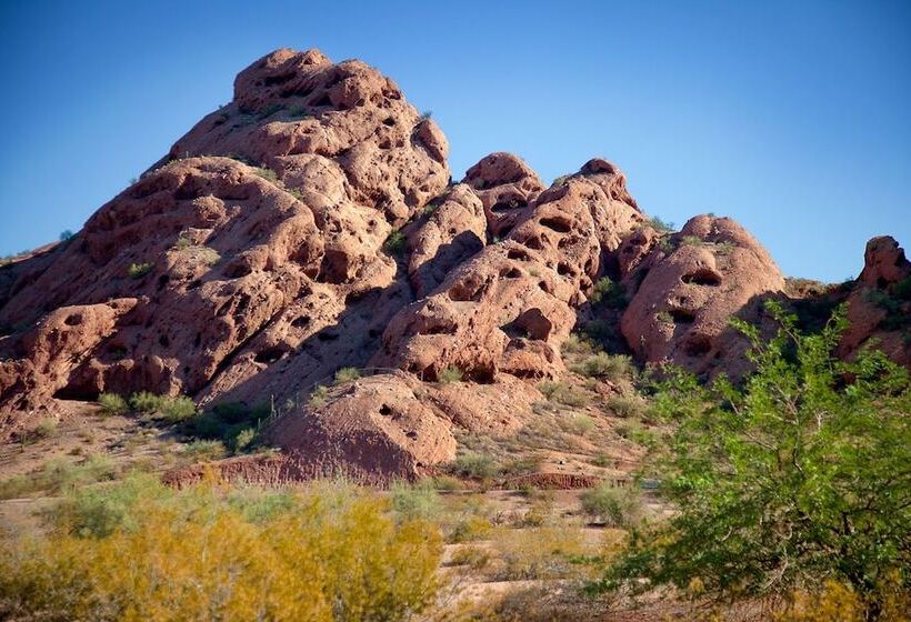 هتل Doubletree Suites By Hilton Phoenix