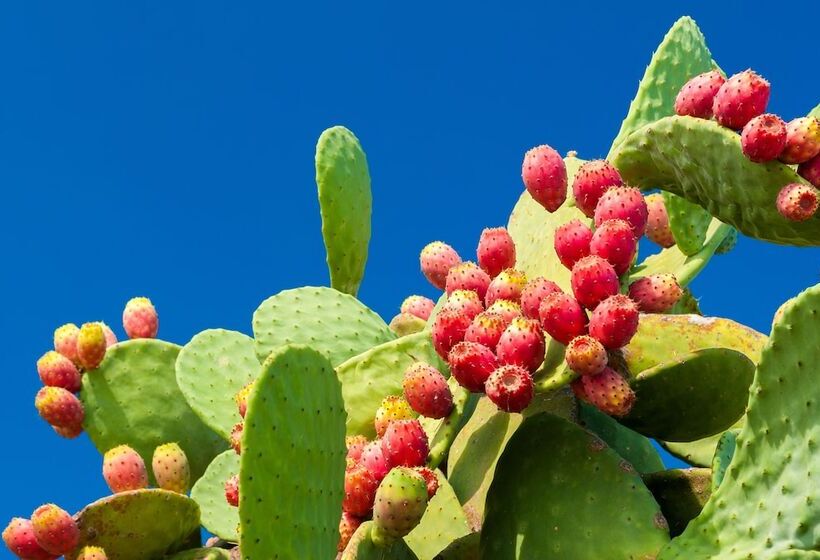 هتل Doubletree Suites By Hilton Phoenix