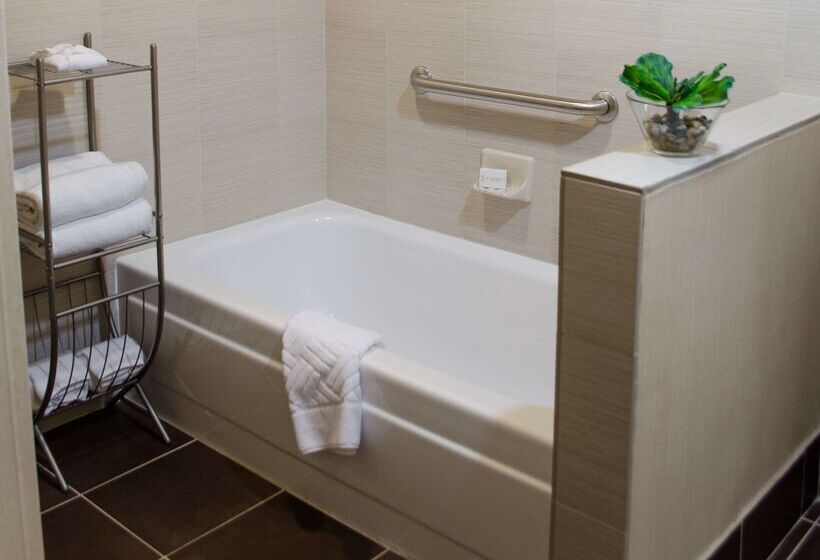 هتل Doubletree Suites By Hilton Tucson Airport