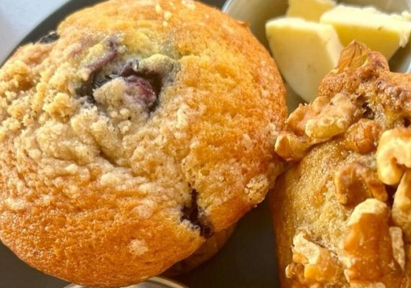 Dr Wilkinsons Backyard Resort And Mineral Springs A Member Of Design Hotels