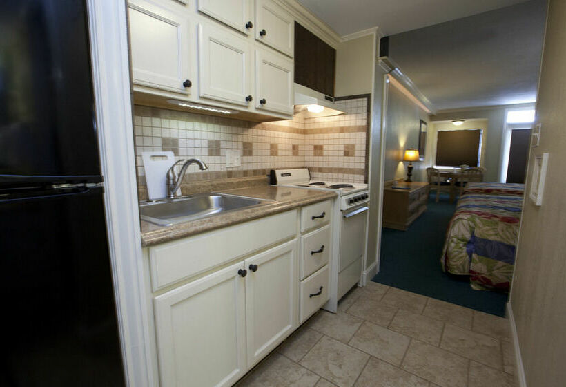 酒店 Driftwood On The Oceanfront