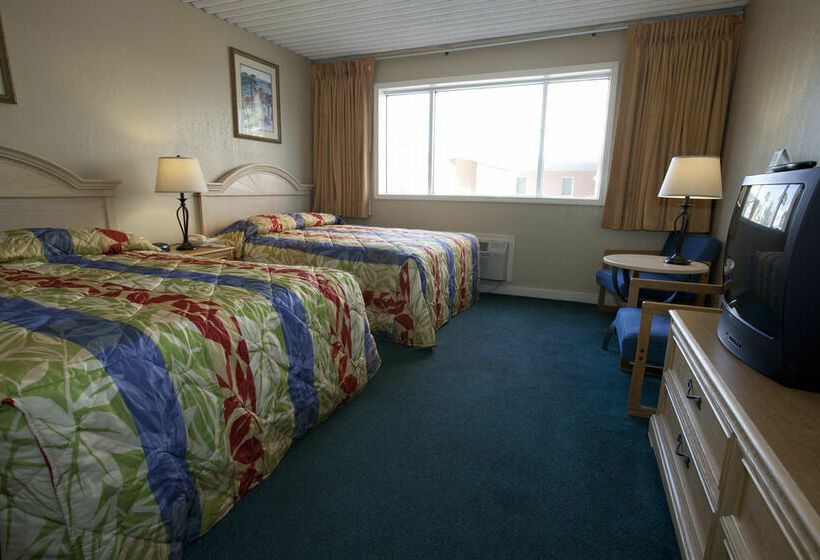 酒店 Driftwood On The Oceanfront