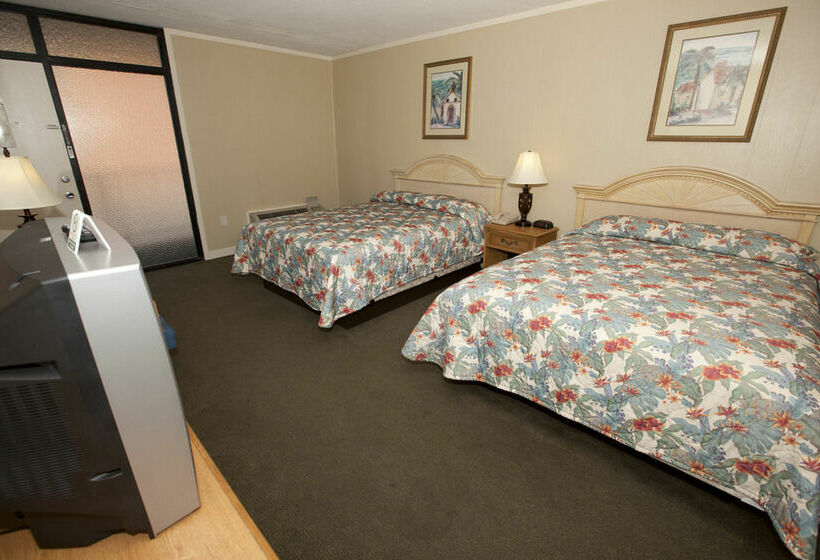 酒店 Driftwood On The Oceanfront