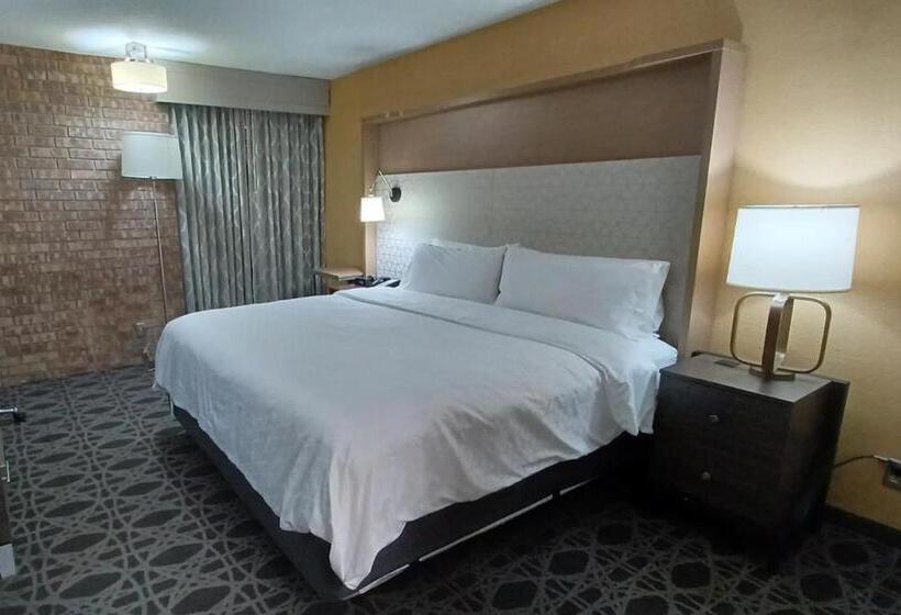 בית מלון כפרי Holiday Inn   Mcallen   Medical Center Area, An Ihg