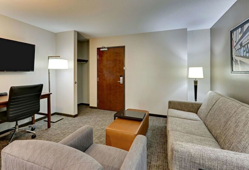 Drury Plaza Hotel St. Paul Downtown