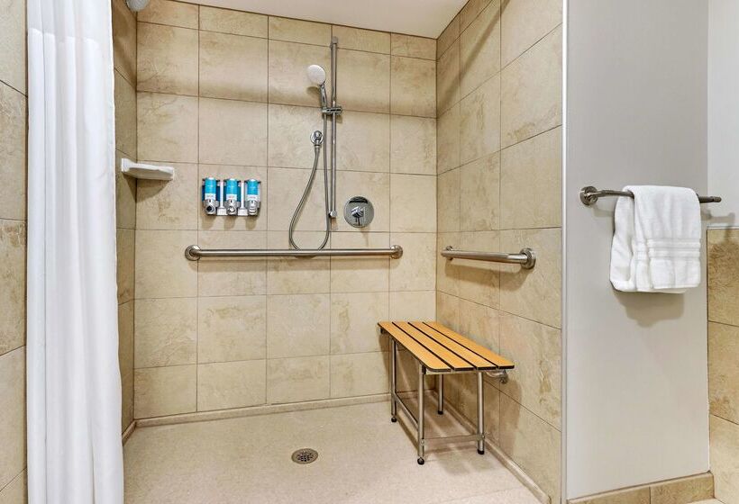 Drury Plaza Hotel St. Paul Downtown