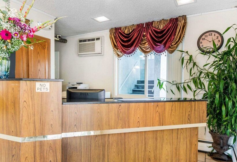 酒店 Econo Lodge Downtown