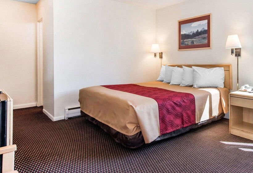 酒店 Econo Lodge Downtown