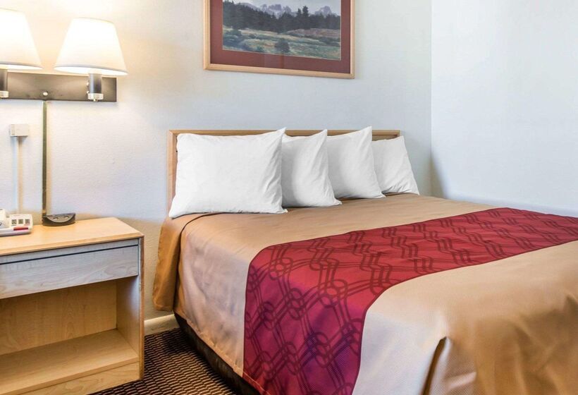 酒店 Econo Lodge Downtown