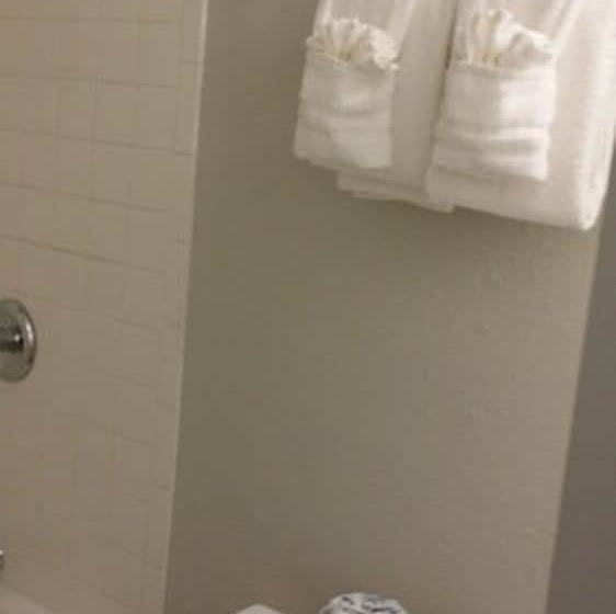 فندق Econo Lodge Inn & Suites