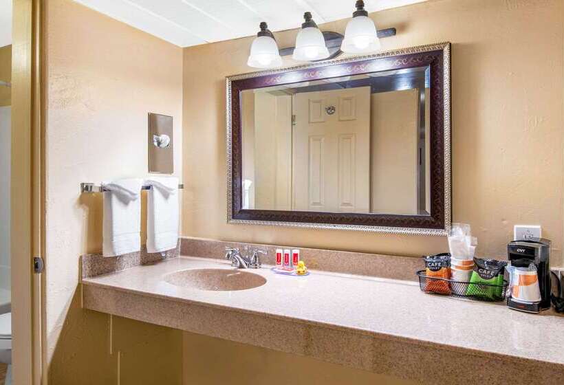 酒店 Econo Lodge Inn & Suites Durango