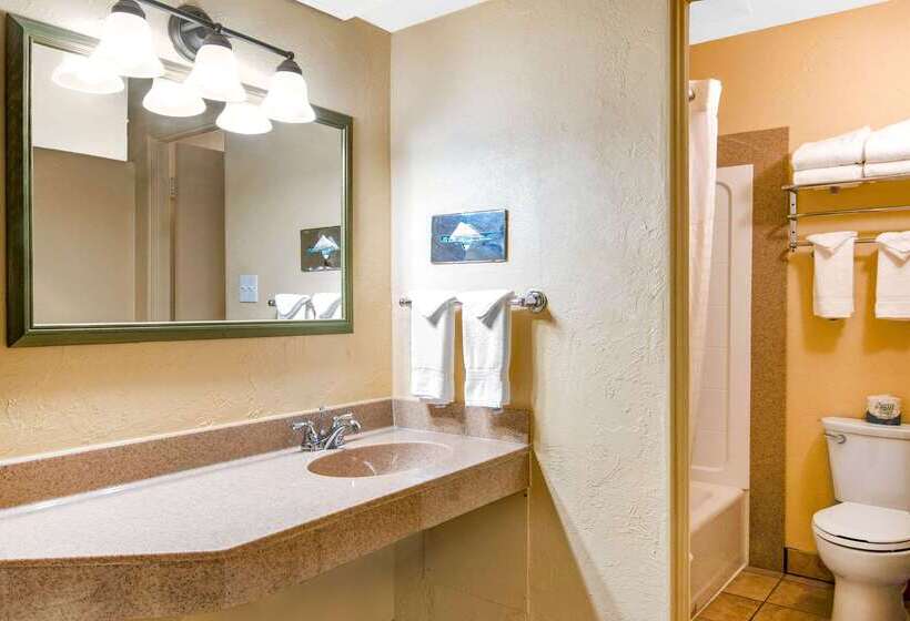 בית מלון כפרי Econo Lodge Inn & Suites Durango