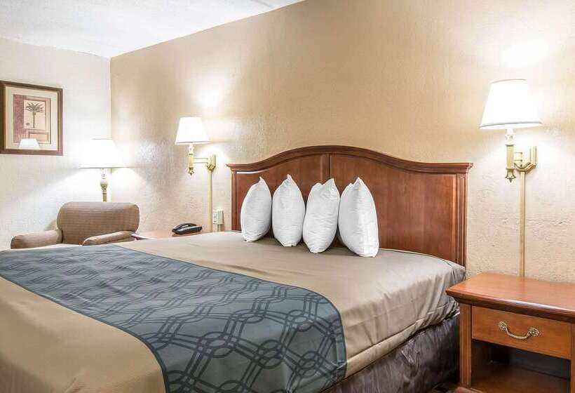 Отель Econo Lodge Midtown