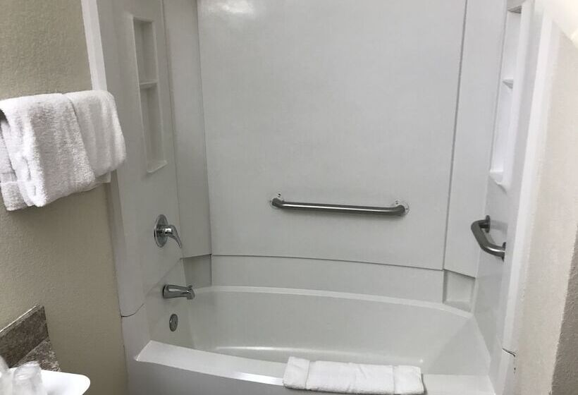 Отель Econo Lodge Midtown