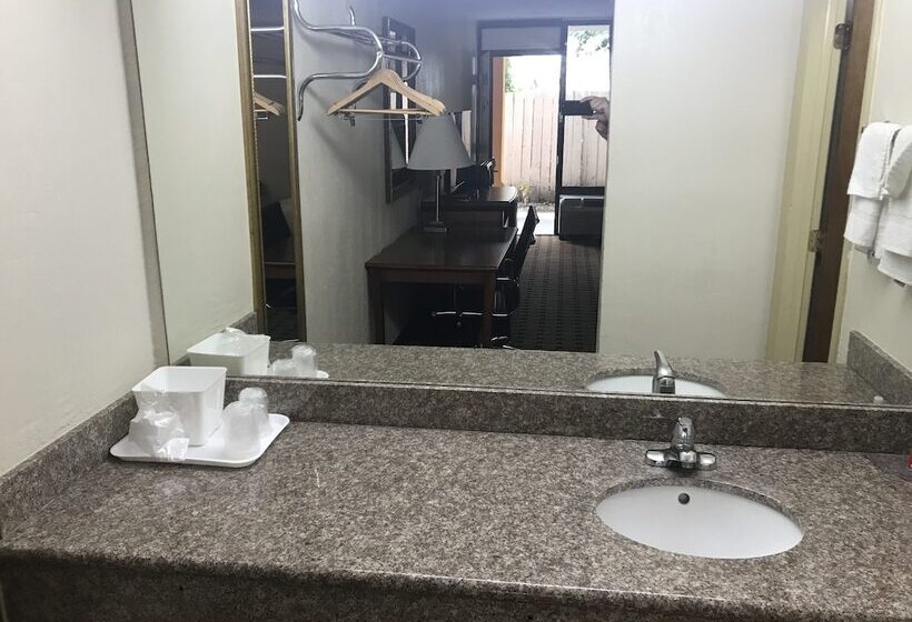 Отель Econo Lodge Midtown