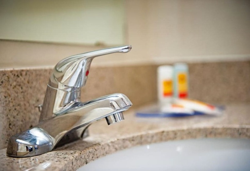 Отель Econo Lodge Midtown