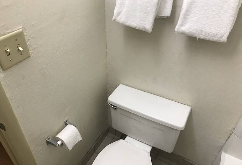 Отель Econo Lodge Midtown